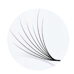 Camellia Lash- Promade Fans - 1000 Fans