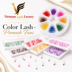 Color Lash - Promade Fans - 1000 Fans
