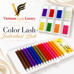 Color Lash Tray - Individual Lash