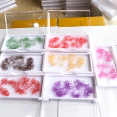 Color Lash - Promade Fans - 1000 Fans