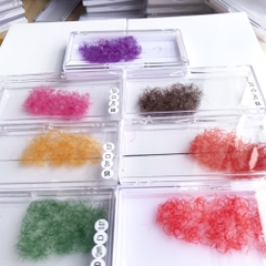 Color Lash - Promade Fans - 1000 Fans