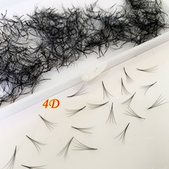 2D - 20D Promade Loose Fans - 1000 Fans/Boxes