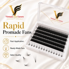 3D - 20D - Rapid Promade Fans - 1000 Fans/Boxes