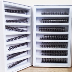 10D - Rapid Promade Fans - 1000 Fans - Mixed Length