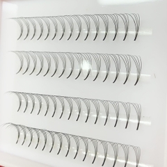 3D - 20D - Rapid Promade Fans - 1000 Fans/Boxes