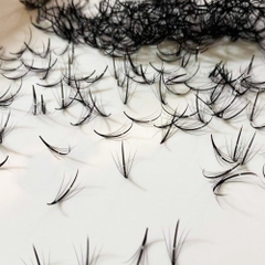 Wispy - Promade Fans - 1000 Fans