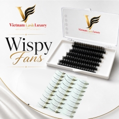 Wispy - Promade Fans - 1000 Fans