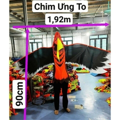 Diều đại