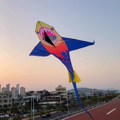 Diều đại