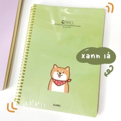 Sổ caro