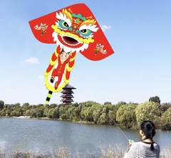 Diều đại