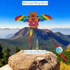 Diều cần câu