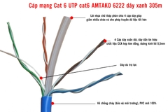 Cáp mạng Cat 6 UTP cat6 AMTAKO 6222 dây xanh 305m