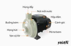 Máy bơm nước ly tâm SHIRAI JLM 158-800S (800W)