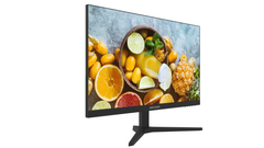 Màn hình Hikvision DS-D5024FN10 24 inch Full HD