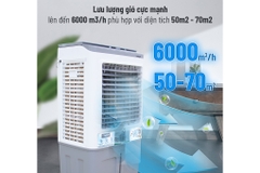 Máy làm mát Nagakawa NFC111 (70L) - Đảo gió đa chiều (70 lít)