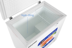 Tủ đông Hòa Phát 162 lít dàn Đồng - HPF AD6162