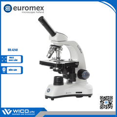Kính hiển vi sinh học 1 mắt Euromex BB.4240 | Độ phóng đại 600X
