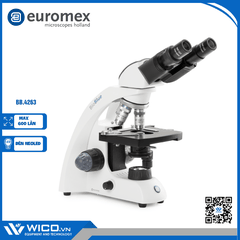 Kính hiển vi sinh học 2 mắt Euromex BB.4263 | Độ phóng đại 600 lần