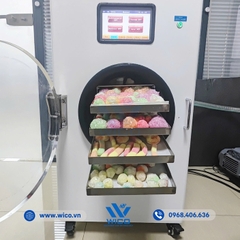 Máy Sấy Thăng Hoa -55 Độ Lanphan HFD-5 | 5 Khay