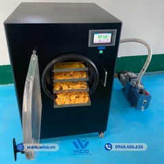 Máy Sấy Thăng Hoa -55 Độ Lanphan HFD-5 | 5 Khay