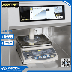 Lò Nung Cân Liên Tục Nabertherm LT 9/11/SW | 1100 Độ - Cửa Trượt
