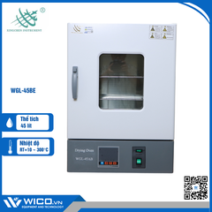 Tủ Sấy Đối Lưu Cưỡng Bức 45 Lít Trung Quốc WGL-45BE