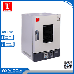 Tủ sấy đối lưu cưỡng bức 125 lít Trung Quốc WGLL-125BE (Màn hình LCD)