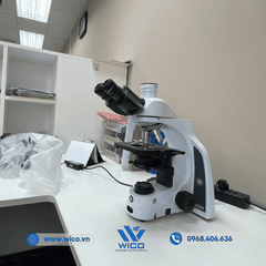 Kính Hiển Vi 3 Mắt Euromex IS.1153-EPL | 1000 lần