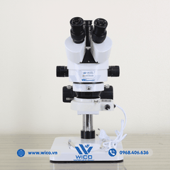 Kính Hiển Vi Soi Nổi Kết Nối Máy Tính Chuyên Dụng SZM45T-B1