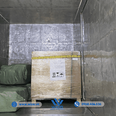 Tủ Sấy Trung Quốc 400 Lít Xingchen 101-4AB | Buồng Inox