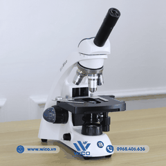 Kính hiển vi sinh học 1 mắt Euromex BB.4240 | Độ phóng đại 600X