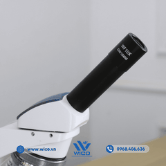 Kính hiển vi sinh học 1 mắt Euromex BB.4240 | Độ phóng đại 600X