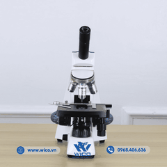 Kính hiển vi sinh học 1 mắt Euromex BB.4240 | Độ phóng đại 600X