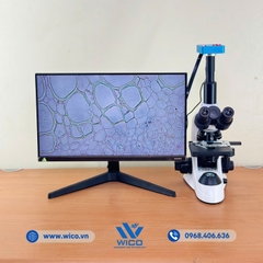Bộ Kính Hiển Vi 3 Mắt Kết Nối Camera 38MP ICC-1038