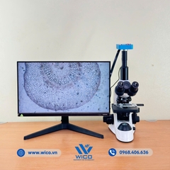 Bộ Kính Hiển Vi 3 Mắt Kết Nối Camera 38MP ICC-1038