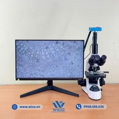 Bộ Kính Hiển Vi 3 Mắt Kết Nối Camera 38MP ICC-1038