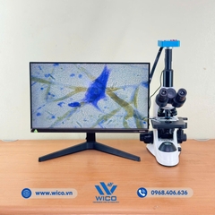 Bộ Kính Hiển Vi 3 Mắt Kết Nối Camera 38MP ICC-1038