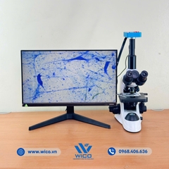 Bộ Kính Hiển Vi 3 Mắt Kết Nối Camera 38MP ICC-1038