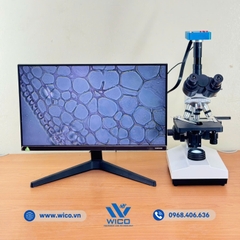 Bộ Kính Hiển Vi Kết Nối Máy Tính ICC-38SM | Camera 38MP
