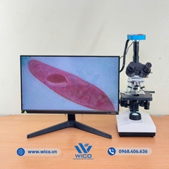Bộ Kính Hiển Vi Kết Nối Máy Tính ICC-38SM | Camera 38MP