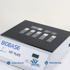 Máy Sấy Lam Kính (Bàn Sấy Lam) Biobase BK-SDI