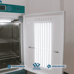 Tủ Vi Khí Hậu Có Ánh Sáng Xingchen RGX-150B | 150 Lít