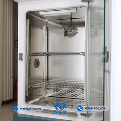 Tủ Vi Khí Hậu Có Ánh Sáng Xingchen RGX-80B | 80 Lít