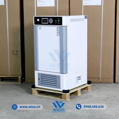 Tủ Vi Khí Hậu Có Chiếu Sáng Xingchen RGX-80BEII | 80 Lít