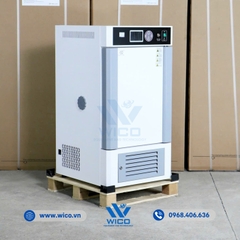 Tủ Vi Khí Hậu Có Chiếu Sáng Xingchen RGX-80BEII | 80 Lít