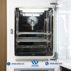 Tủ Vi Khí Hậu Có Chiếu Sáng Xingchen RGX-80BEII | 80 Lít