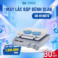 Máy Lắc Bập Bênh Dlab SK-R1807S