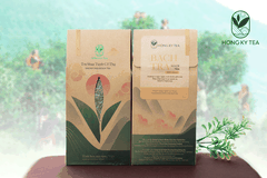 Bạch Trà - Trà Shan Tuyết cổ thụ Yên Bái - Hồng Kỳ Tea