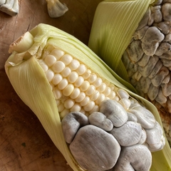 Nấm Than Ngô Huitlacoche Mexico, Lon 380gr